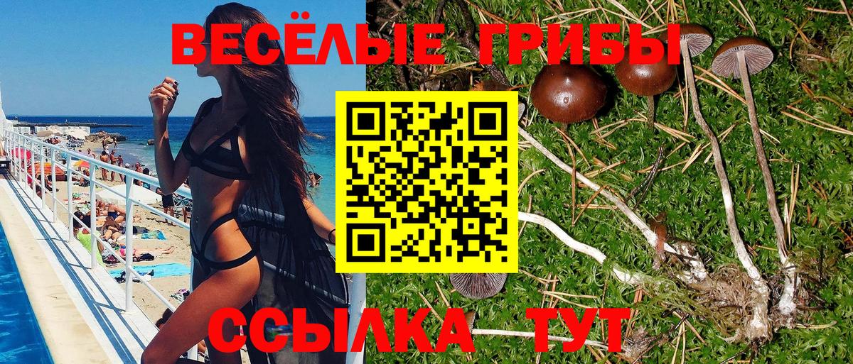 Псилоцибиновые грибы мицелий  Вход с VPN  Краснодар 