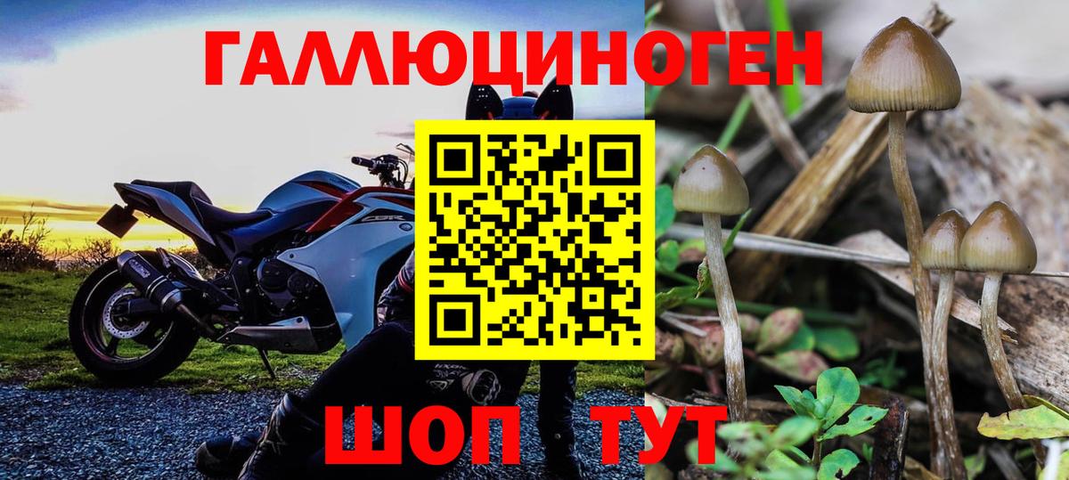 Псилоцибиновые грибы мухоморы Краснодар